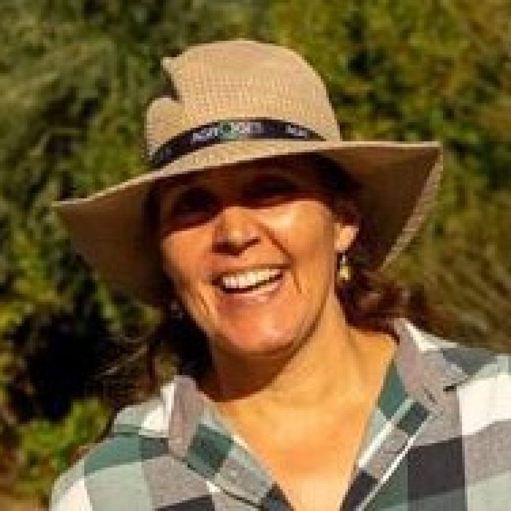 Margarida Figueiredo